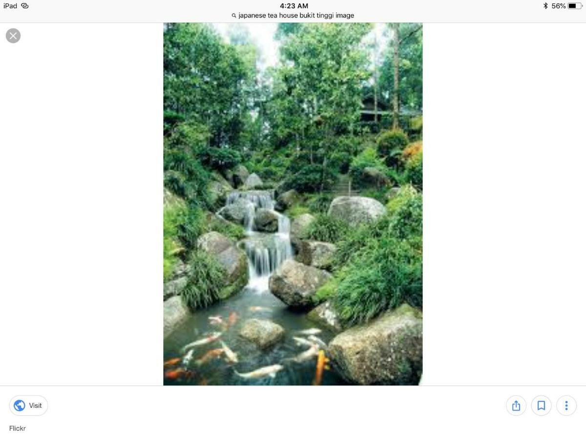 Berjaya Hill Bukit Tinggi