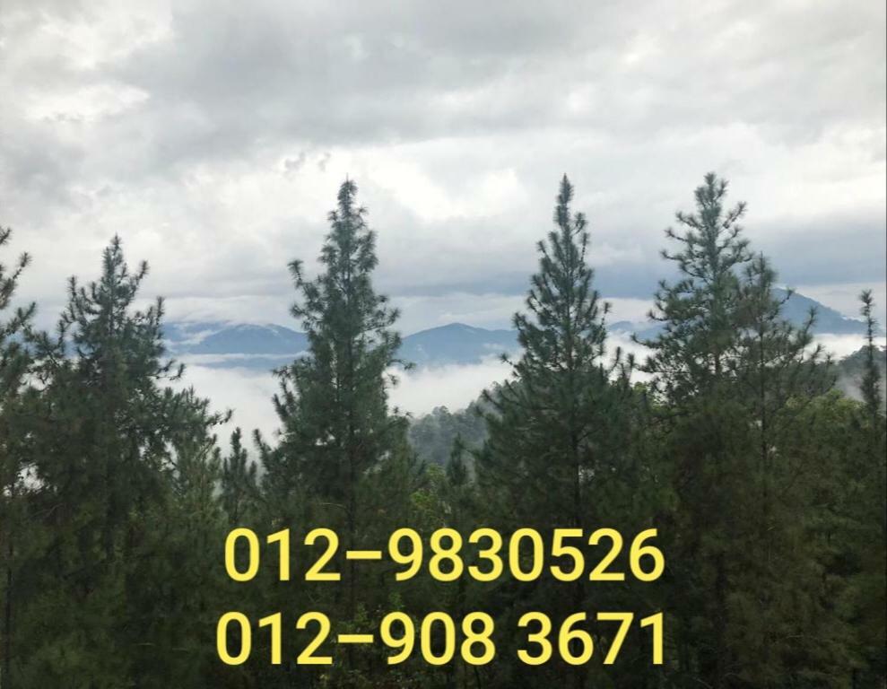 Apartment Berjaya Hill Bukit Tinggi